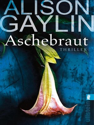 cover image of Aschebraut